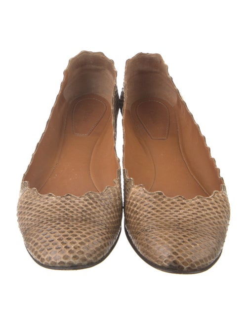 Chloé Snakeskin Scalloped Accent Ballet Flats