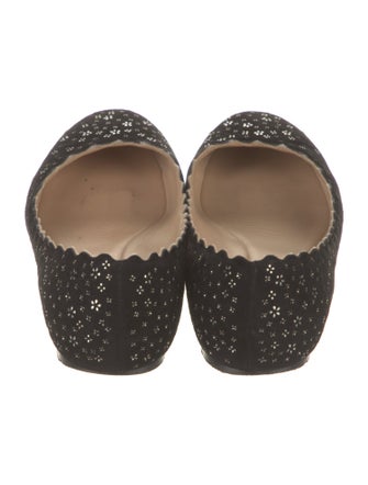 Chloé Suede Studded Accents Ballet Flats