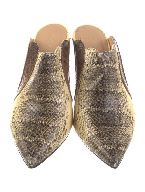 Chloé Embossed Leather Animal Print Mules