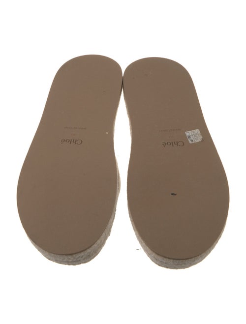 Chloé Canvas Espadrilles