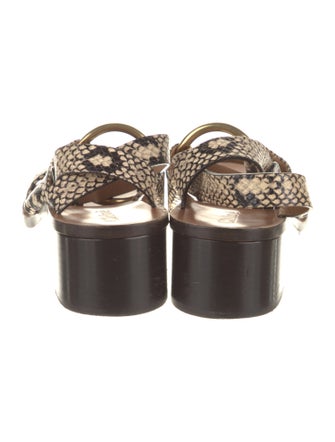 Chloé Leather Animal Print Sandals