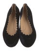 Chloé Velvet Scalloped Accent Ballet Flats