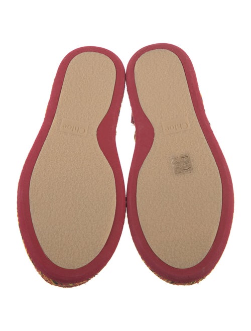 Chloé Printed Braided Accents Espadrilles