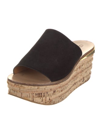 Chloé Suede Slides