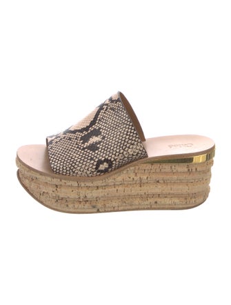 Chloé Leather Animal Print Espadrilles