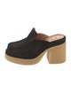 Chloé Suede Mules