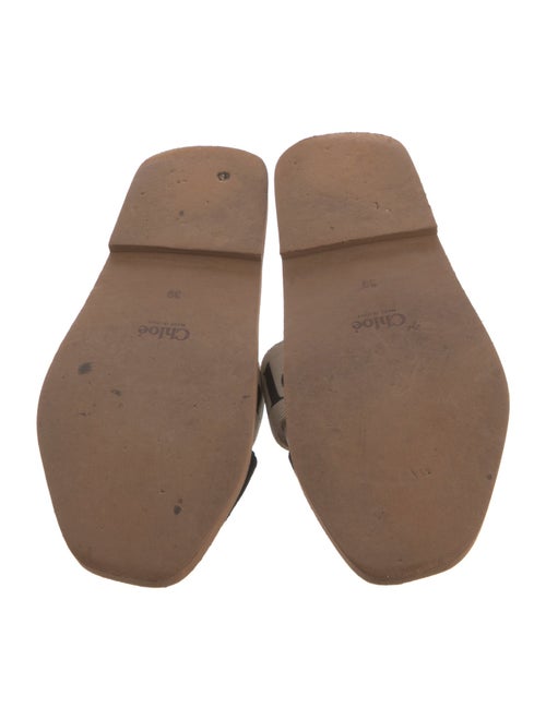 Chloé Canvas Printed Slides