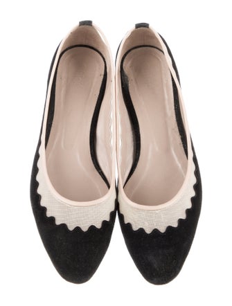 Chloé Suede Scalloped Accent Ballet Flats