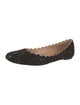 Chloé Suede Studded Accents Ballet Flats