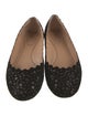 Chloé Suede Studded Accents Ballet Flats