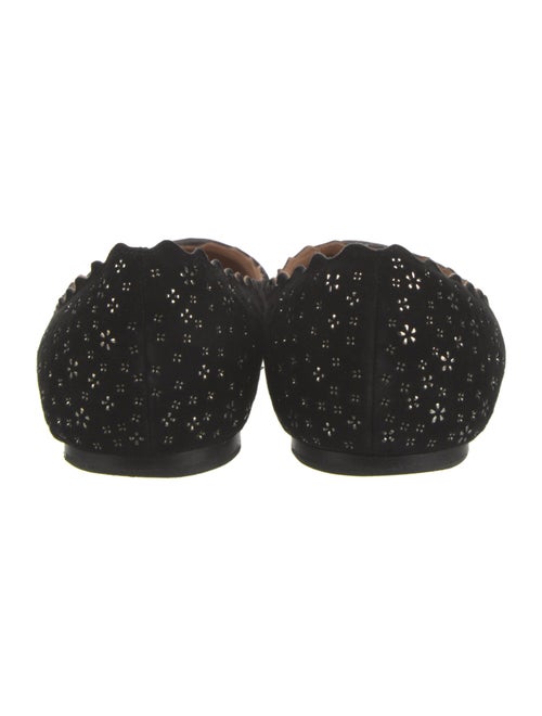 Chloé Suede Studded Accents Ballet Flats