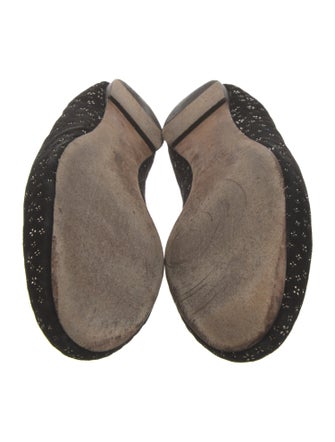 Chloé Suede Studded Accents Ballet Flats