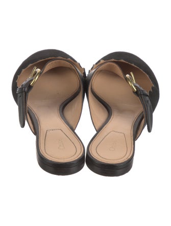 Chloé Suede Scalloped Accent Mules