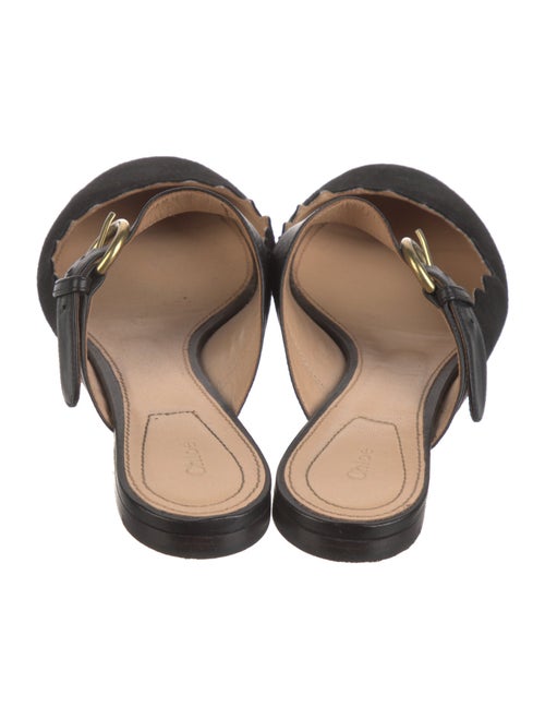 Chloé Suede Scalloped Accent Mules