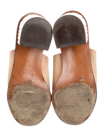 Chloé Suede Slides