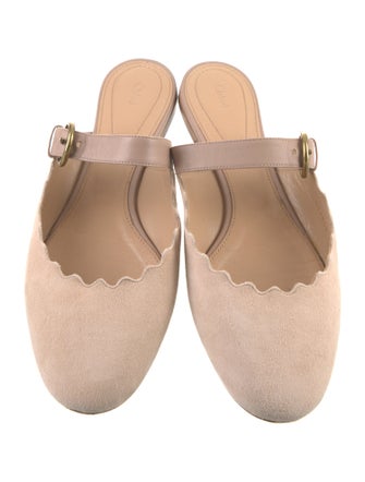 Chloé Suede Scalloped Accent Mules