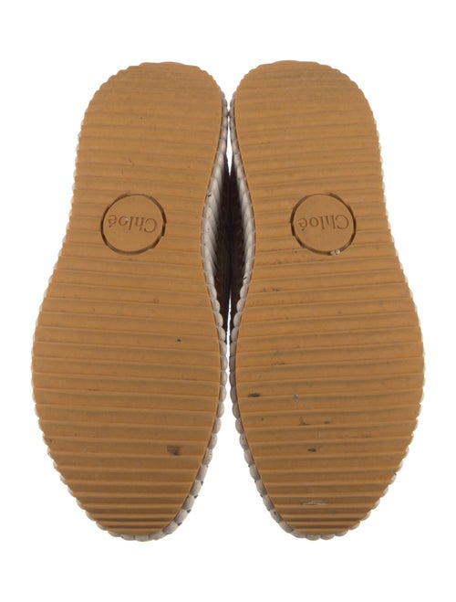 Chloé Canvas Printed Sneakers