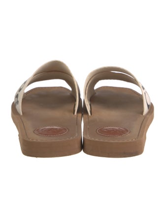 Chloé Printed Slides