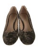 Chloé Velvet Scalloped Accent Pumps
