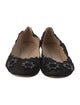 Chloé Velvet Scalloped Accent Ballet Flats