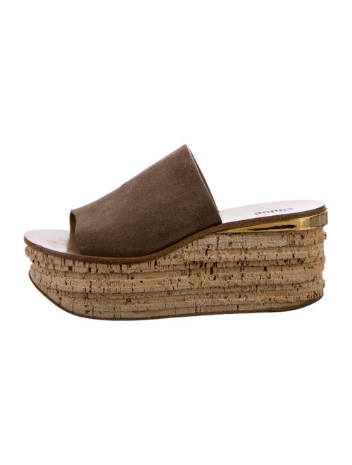 Chloé Suede Espadrilles
