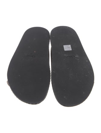 Chloé Suede Slides