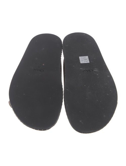 Chloé Suede Slides