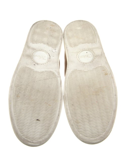 Chloé Suede Sneakers