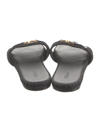 Chloé Canvas Slides