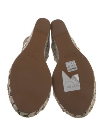 Chloé Canvas Striped Espadrilles