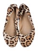 Chloé Ponyhair Animal Print Ballet Flats