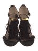 Chloé Suede Fringe Trim Accent T-Strap Sandals