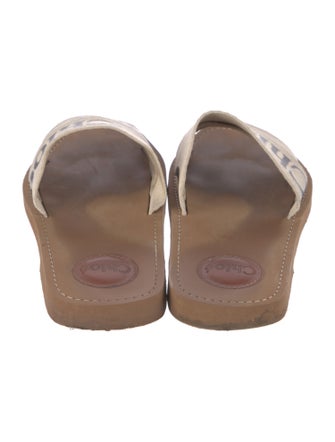 Chloé Rubber Printed Slides