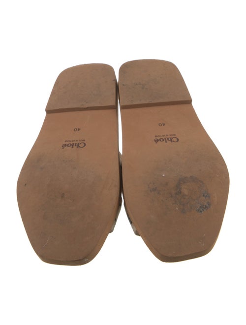 Chloé Canvas Printed Slides