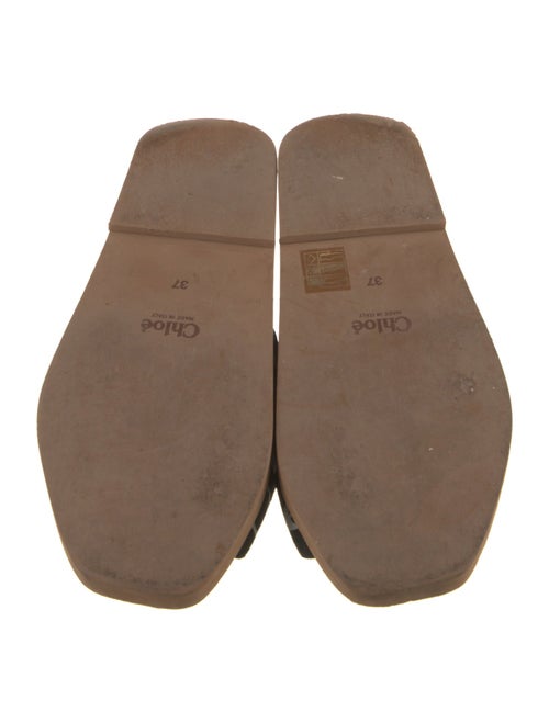 Chloé Canvas Printed Slides