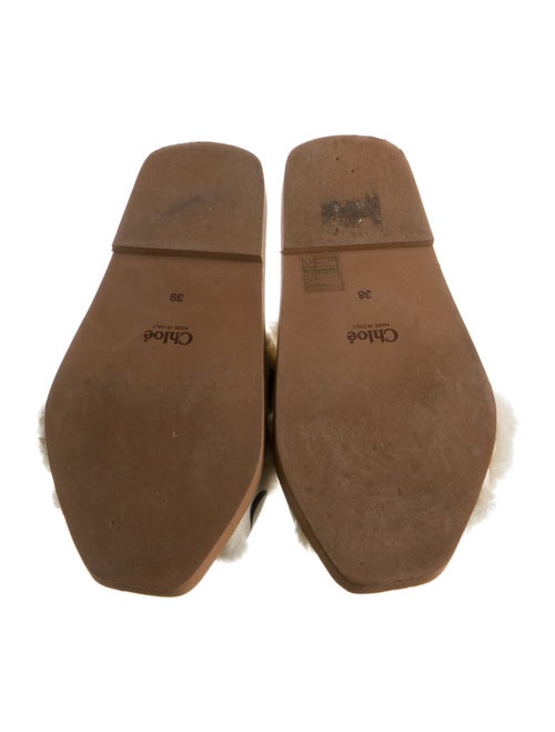 Chloé Canvas Printed Slides