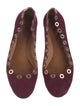 Chloé Suede Studded Accents Ballet Flats