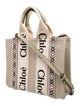 Chloé Canvas Woody Small