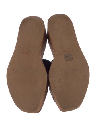 Chloé Canvas Printed Espadrilles