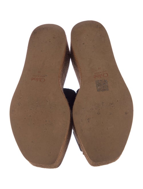 Chloé Canvas Printed Espadrilles