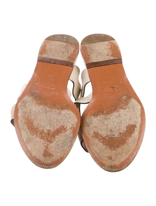 Chloé Leather Scalloped Accent Slippers