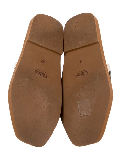 Chloé Canvas Printed Slides