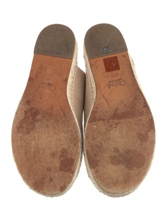 Chloé Suede Espadrilles