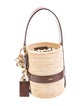 Chloé Straw Bucket Bag