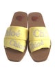 Chloé Printed Embroidered Accent Slides