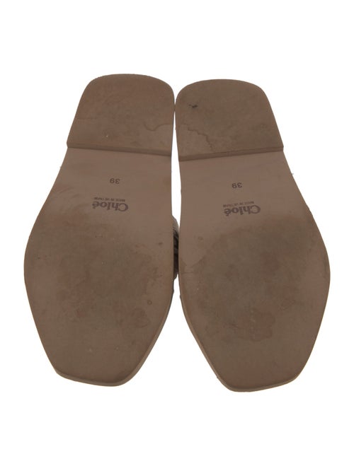 Chloé Canvas Graphic Print Slides