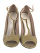 Chloé Snakeskin Animal Print T-Strap Pumps