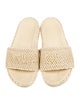 Chloé Raffia Espadrilles