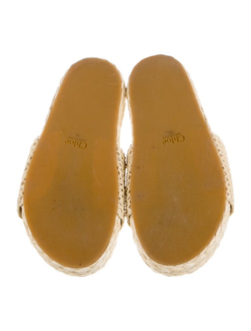 Chloé Raffia Espadrilles