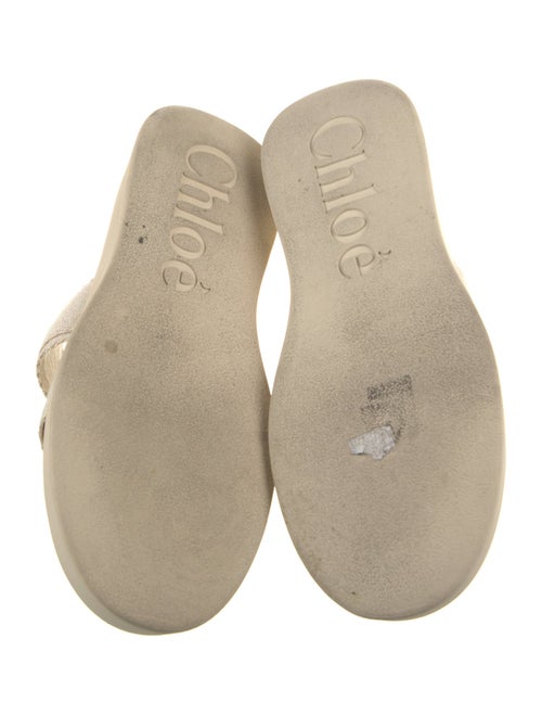Chloé Canvas Espadrilles